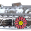 Dog, Puppy & Pet Designer Croc Widget Collar, "Pink Daisies"