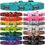 Dog, Puppy & Pet Designer Croc Widget Collar, "Arrows"