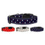 Pet Dog & Cat Nylon Collar or Leash, "Anchors"