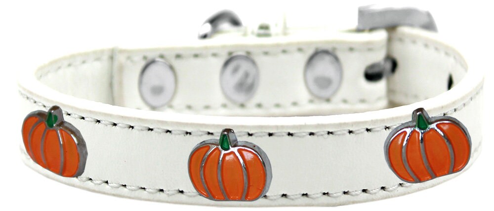 Dog, Puppy and Pet Widget Fashion Collar, "Pumpkin"