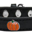 Dog, Puppy and Pet Widget Fashion Collar, "Pumpkin"