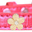 Dog, Puppy & Pet Designer Croc Widget Collar, "Gold Flowers"