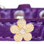 Dog, Puppy & Pet Designer Croc Widget Collar, "Gold Flowers"