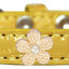 Dog, Puppy & Pet Designer Croc Widget Collar, "Gold Flowers"