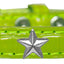 Dog, Puppy & Pet Designer Croc Widget Collar, "Silver Stars"