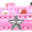 Dog, Puppy & Pet Designer Croc Widget Collar, "Silver Stars"