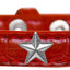 Dog, Puppy & Pet Designer Croc Widget Collar, "Silver Stars"