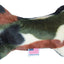 Pet and Dog Plush Bone Toy, "Good Boy Group" (Available in 4 different pattern options!)