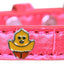 Dog, Puppy & Pet Designer Croc Widget Collar, "Chickadee"