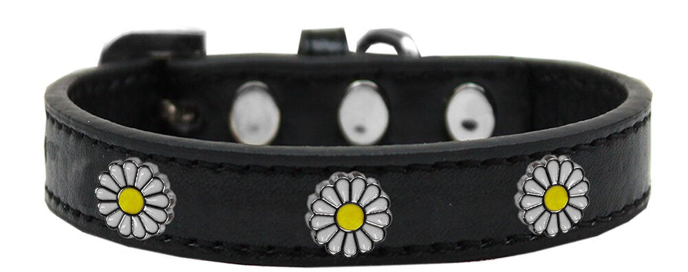 Dog, Puppy and Pet Widget Fashion Collar, "White Daisies"