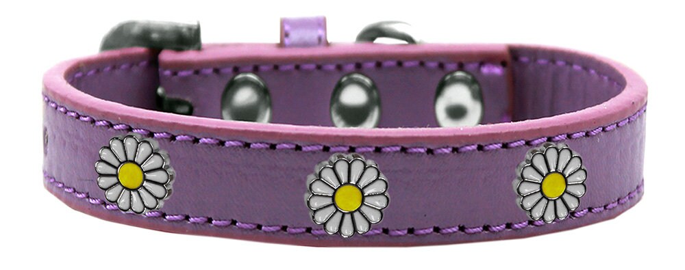 Dog, Puppy and Pet Widget Fashion Collar, "White Daisies"