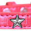 Dog, Puppy and Pet Designer Croc Widget Collar, "Red, White & Blue Stars"