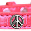 Dog, Puppy & Pet Designer Croc Widget Collar, "Peace Sign"