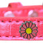 Dog, Puppy & Pet Designer Croc Widget Collar, "Pink Daisies"