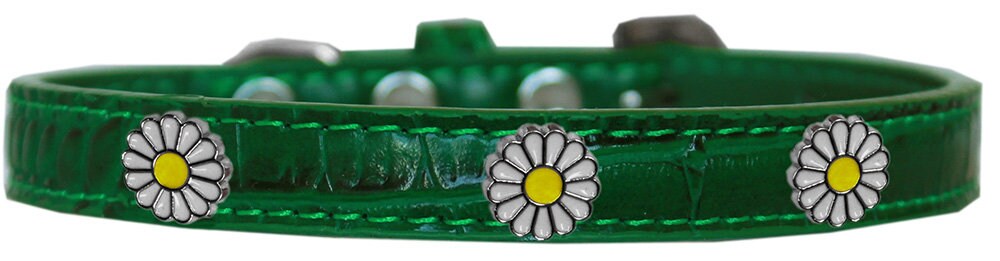 Dog, Puppy & Pet Designer Croc Widget Collar, "Pink Daisies"