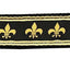 Pet Dog and Cat Nylon Collar or Leash, "Black & Gold Fleur De Lis"