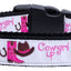 Pet Dog & Cat Nylon Collar or Leash, "Cowgirl Up"