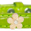 Dog, Puppy & Pet Designer Croc Widget Collar, "Gold Flowers"