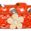 Dog, Puppy & Pet Designer Croc Widget Collar, "Gold Flowers"