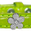 Dog, Puppy & Pet Designer Croc Widget Collar, "Silver Flowers"