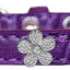 Dog, Puppy & Pet Designer Croc Widget Collar, "Silver Flowers"