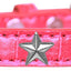 Dog, Puppy & Pet Designer Croc Widget Collar, "Silver Stars"