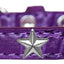 Dog, Puppy & Pet Designer Croc Widget Collar, "Silver Stars"