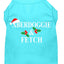 Christmas Screenprinted Dog Shirt, "Aberdoggie & Fetch"