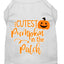 Halloween Pet Dog & Cat Shirt Screen Printed, "Cutest Pumpkin In The Patch"