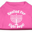 Hanukkah Pet Dog & Cat Shirt Screen Printed, "Spoiled for Eight Days"