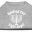 Hanukkah Pet Dog & Cat Shirt Screen Printed, "Spoiled for Eight Days"