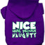 Christmas Pet, Dog & Cat Hoodie Screen Printed, "Nice Until Proven Naughty"