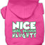 Christmas Pet, Dog & Cat Hoodie Screen Printed, "Nice Until Proven Naughty"