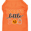 Halloween Pet Dog & Cat Shirt Screen Printed, "Daddy's Little Boo"