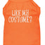 Halloween Pet Dog & Cat Shirt Screen Printed, "Like My Costume?"