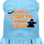 Halloween Pet Dog & Cat Dress Screen Printed, "Don't Scare Me, I Poop Easily"