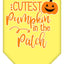 Halloween Pet and Dog Bandana Screen Printed, "Cutest Pumpkin In The Patch"