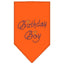 Pet and Dog Bandana Rhinestone, "Birthday Boy"