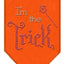 Halloween Pet and Dog Bandana Rhinestone, "I'm The Trick"