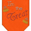 Halloween Pet and Dog Bandana Rhinestone, "I'm The Treat"