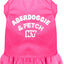 Dog Dress, Dog Dress, Screen Printed, "Aberdoggie & Fetch NY"