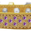 Dog, Puppy & Pet Ice Cream  Collar,  "Purple Crystal Rimsets Sprinkles"