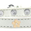 Dog, Puppy & Pet Widget Collar, "Gold Flower"