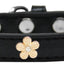 Dog, Puppy & Pet Widget Collar, "Gold Flower"