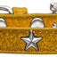 Dog, Puppy & Pet Widget Ice Cream Collar, "Silver Star"