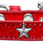 Dog, Puppy & Pet Widget Ice Cream Collar, "Silver Star"