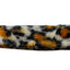 Dog, Puppy & Pet Plain Leash, "Animal Print" (Available in Plain or Jeweled)