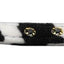 Dog, Puppy & Pet Plain Leash, "Animal Print" (Available in Plain or Jeweled)