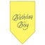 Pet and Dog Bandana Rhinestone, "Birthday Boy"