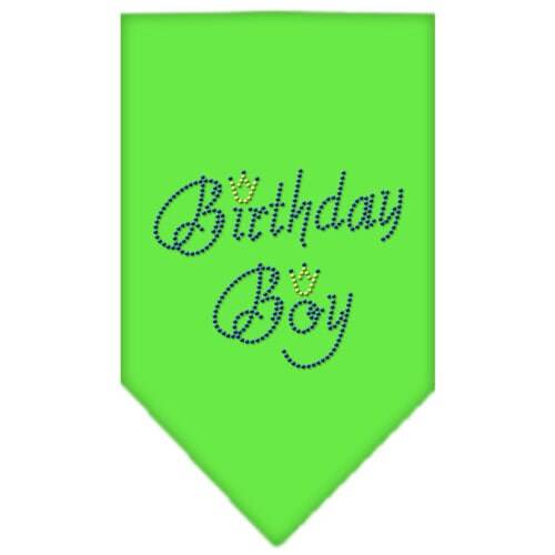 Pet and Dog Bandana Rhinestone, "Birthday Boy"